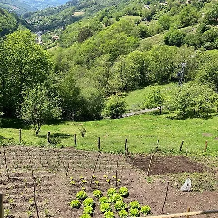 La So Casa -en El Corazon De Asturias