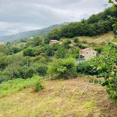 La So Casa -en El Corazon De Asturias Feriehus *